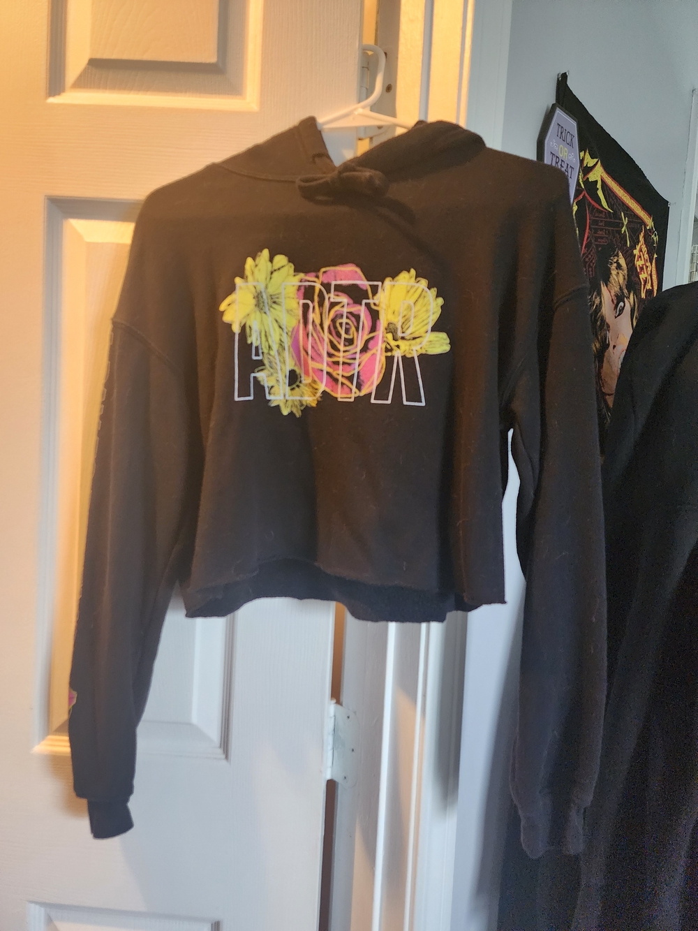A Day To Remember Floral Crop Hoodie